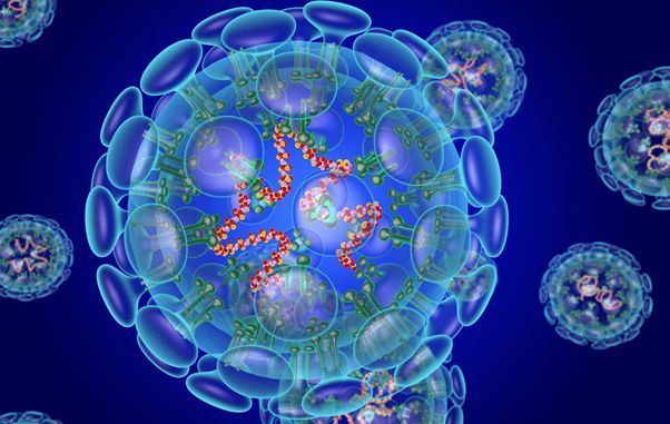 Нарушение менструационного цикла после коронавируса