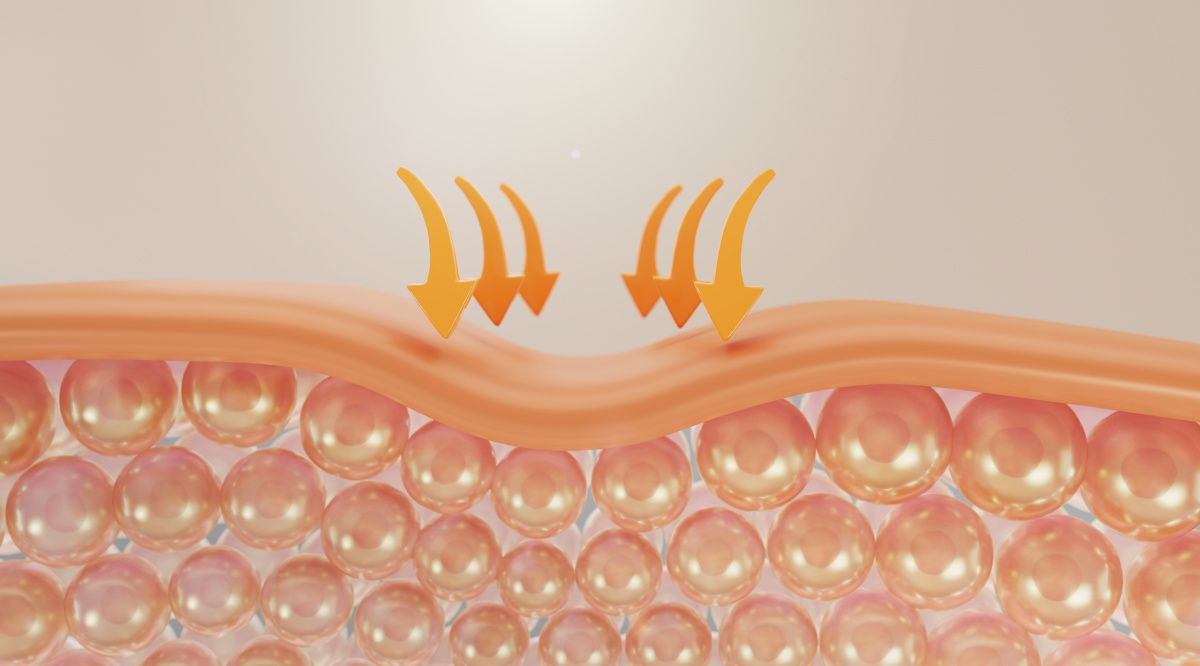 Все, что нужно знать о коллагене